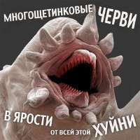 500x500