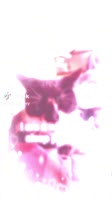 576x1024