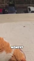 360x640