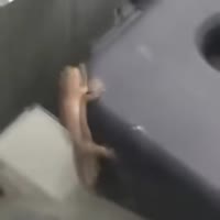 1080x1080