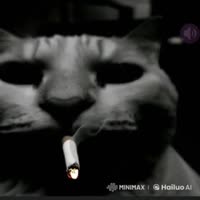 320x320