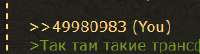 223x61