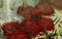 1189x756