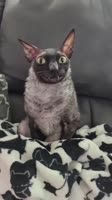608x1080