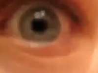 259x194