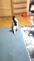 360x640