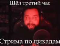 633x488