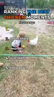 360x640