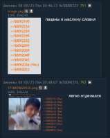 431x539