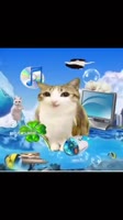 270x480