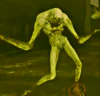 498x480