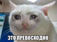 426x314