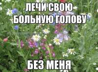 736x540