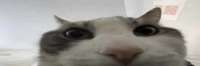 858x285