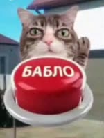 352x468