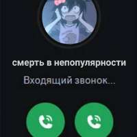 736x736