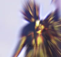 614x576