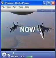 480x496