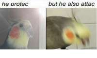 500x300