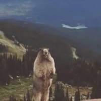 360x360