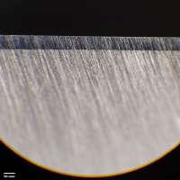 1600x1600
