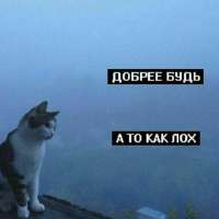 640x640