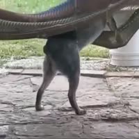 360x360