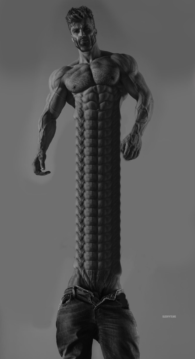 680x1253