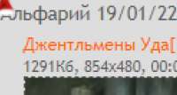 493x264