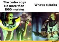 720x508