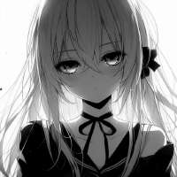 736x736