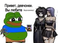 1200x903