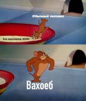 925x1080