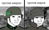 509x318