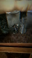 640x1138