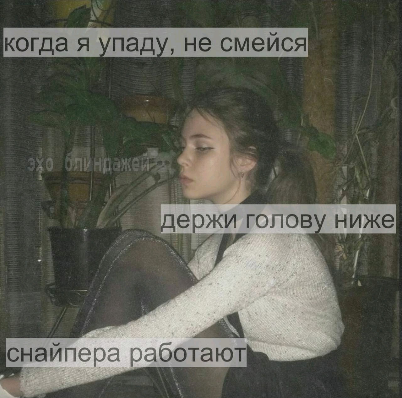 1280x1267