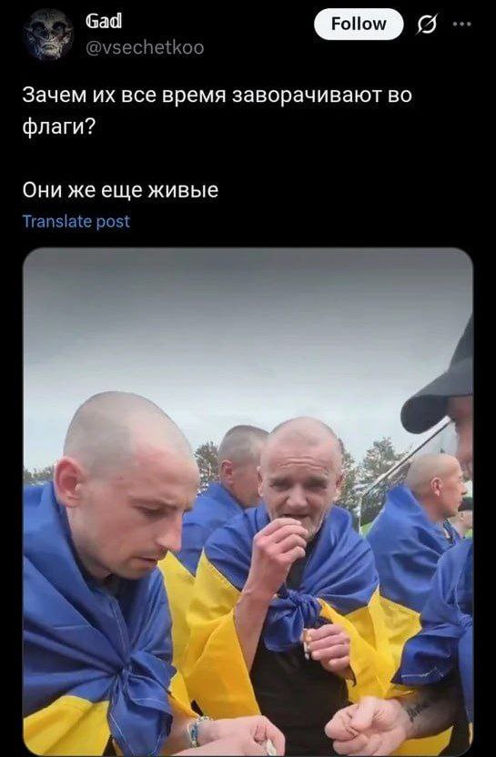 545x832