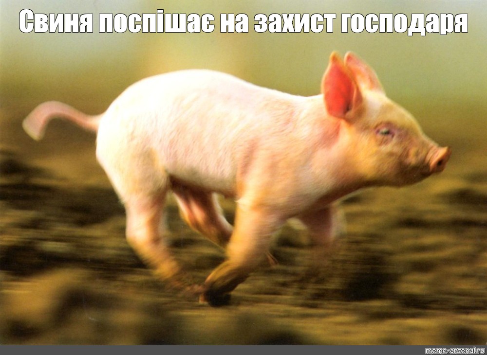 1000x730