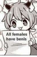 500x768