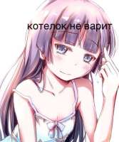 506x604