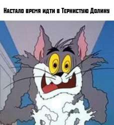 981x1080