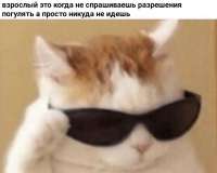 1080x867