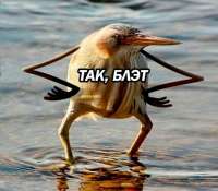 749x656