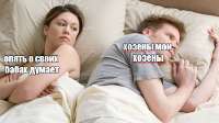 498x279