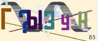382x161
