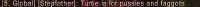 448x17