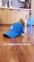 360x640