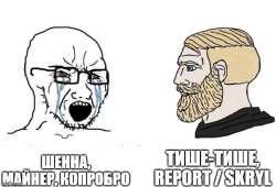 733x499