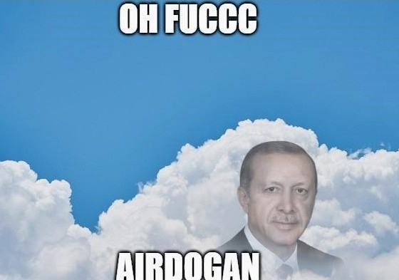 560x393