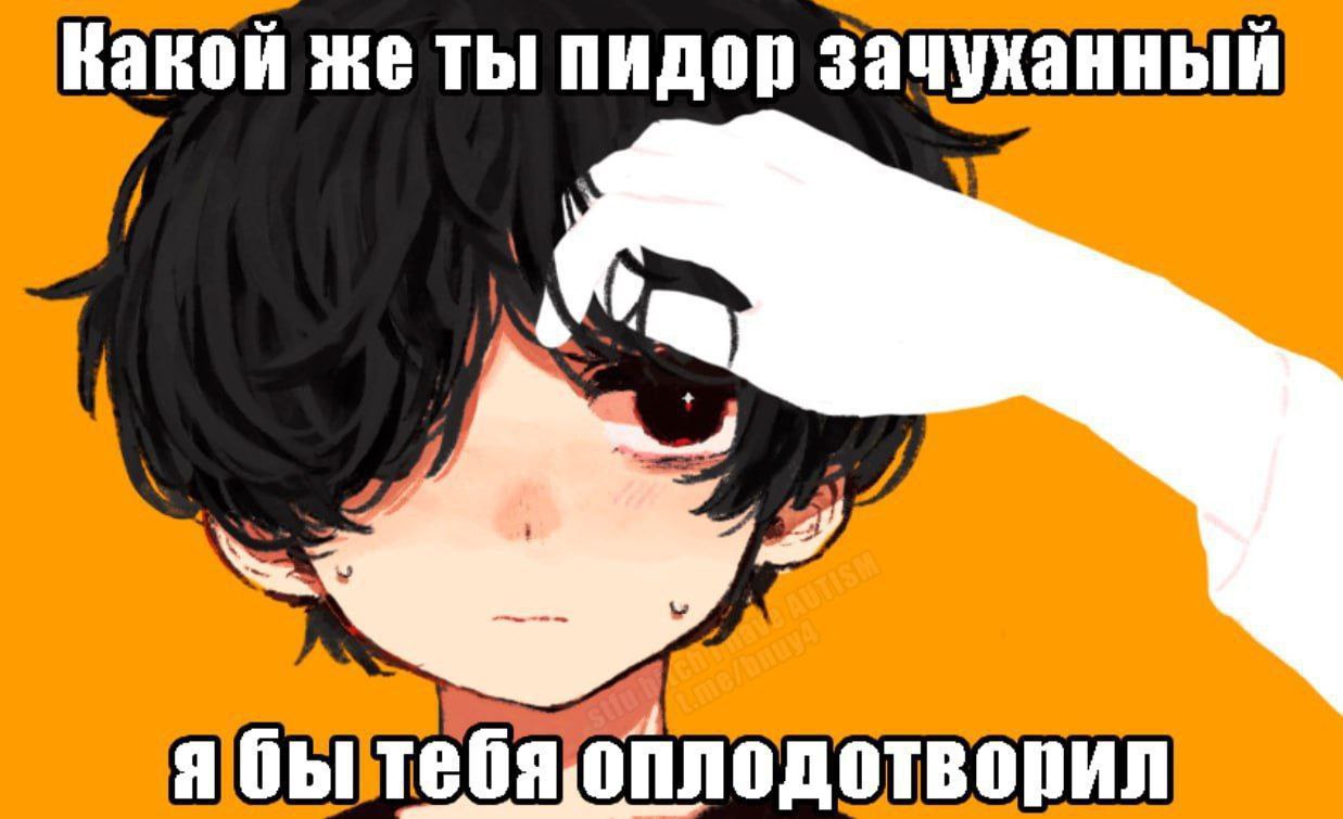 1237x755